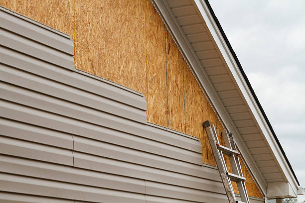 Professional Storm Damage Siding Repair technician working in Windsor, IL